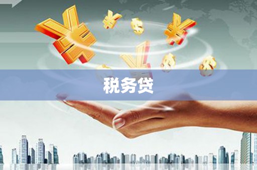 大宁税务贷